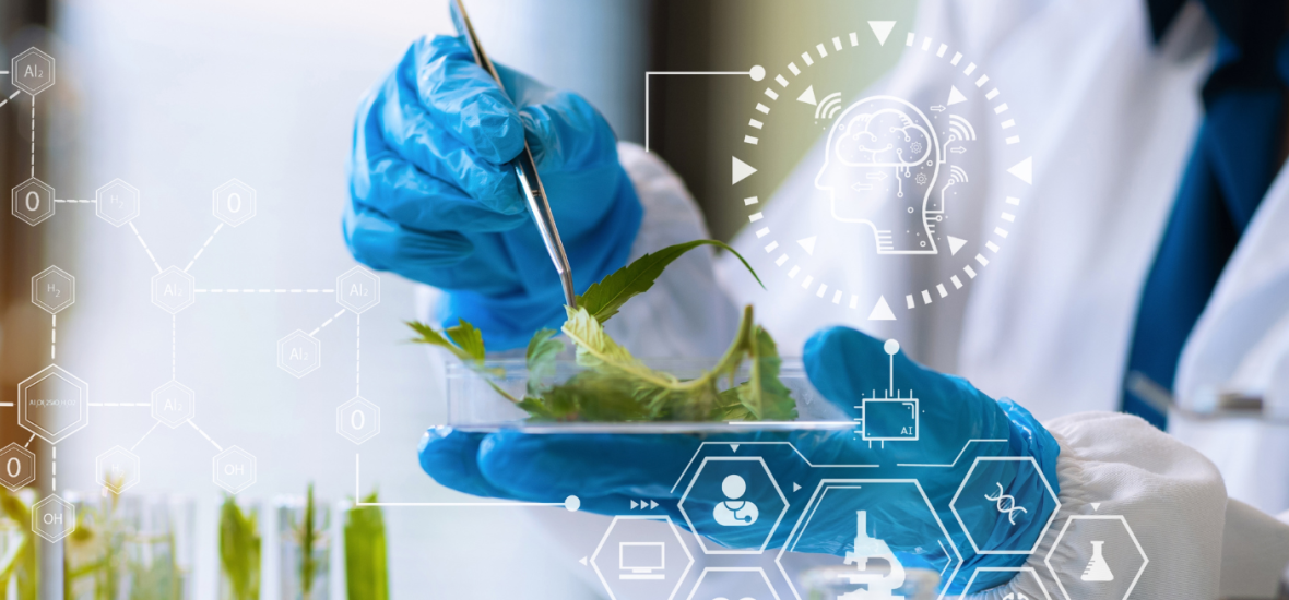 Pós em Nutrologia: Impulsione sua carreira na área da Saúde