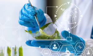 Pós em Nutrologia: Impulsione sua carreira na área da Saúde