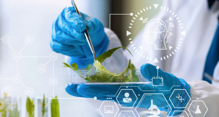 Pós em Nutrologia: Impulsione sua carreira na área da Saúde