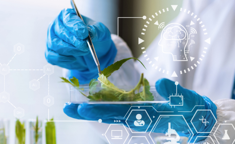 Pós em Nutrologia: Impulsione sua carreira na área da Saúde