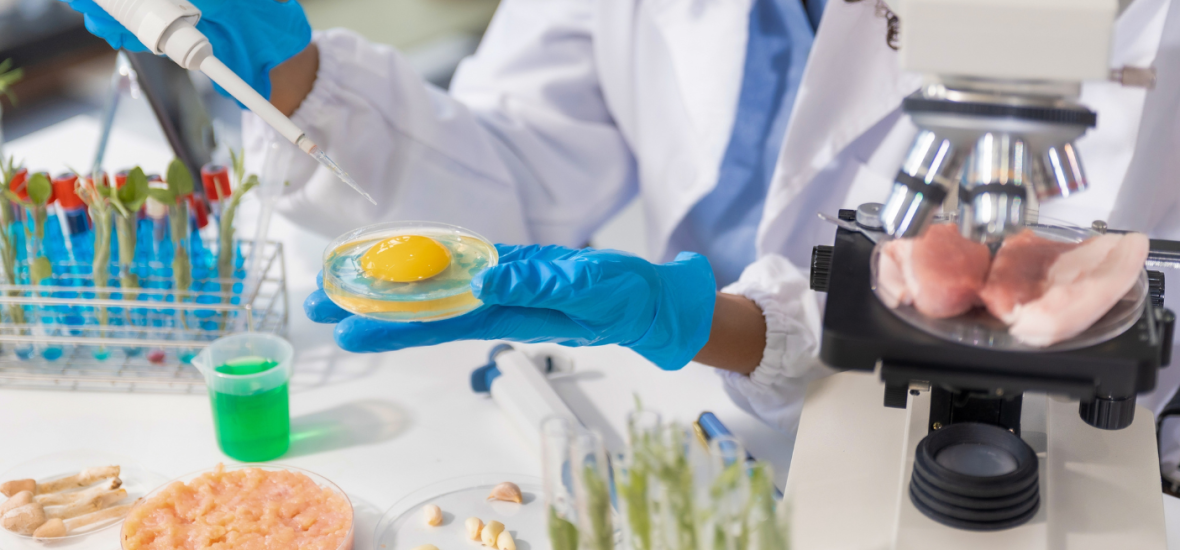 Curso de Nutrição da FCMSCSP: Formação Completa para o Profissional do Futuro