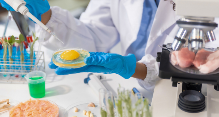 Curso de Nutrição da FCMSCSP: Formação Completa para o Profissional do Futuro