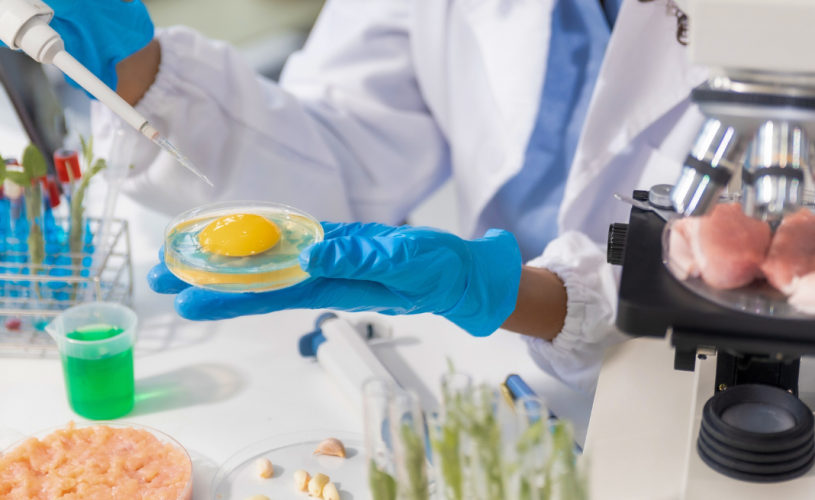 Curso de Nutrição da FCMSCSP: Formação Completa para o Profissional do Futuro
