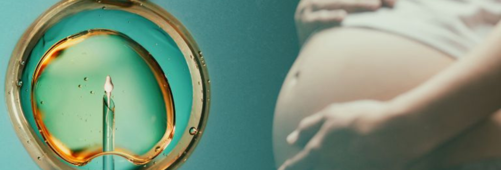 Infertilidade Conjugal e Reprodução Humana Assistida