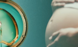 Inscrições abertas para as turmas de 2026 da Pós-Graduação em Infertilidade Conjugal e Reprodução Humana