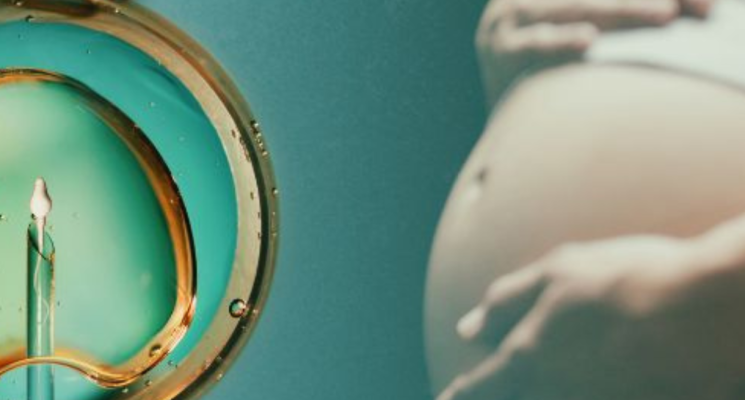 Inscrições abertas para as turmas de 2026 da Pós-Graduação em Infertilidade Conjugal e Reprodução Humana