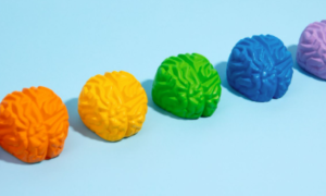 Transtornos do neurodesenvolvimento: uma área em expansão