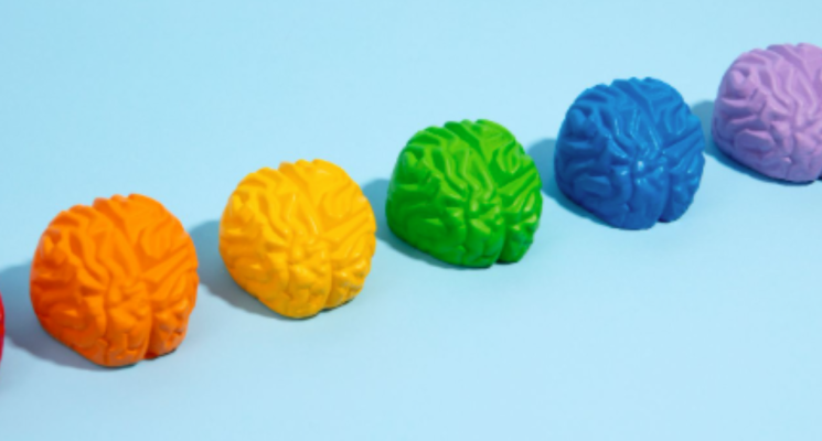 Transtornos do neurodesenvolvimento: uma área em expansão