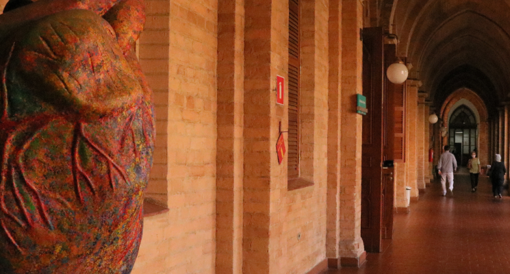 Santa Tour de Medicina: participe de uma visita gratuita à Faculdade Santa Casa de SP