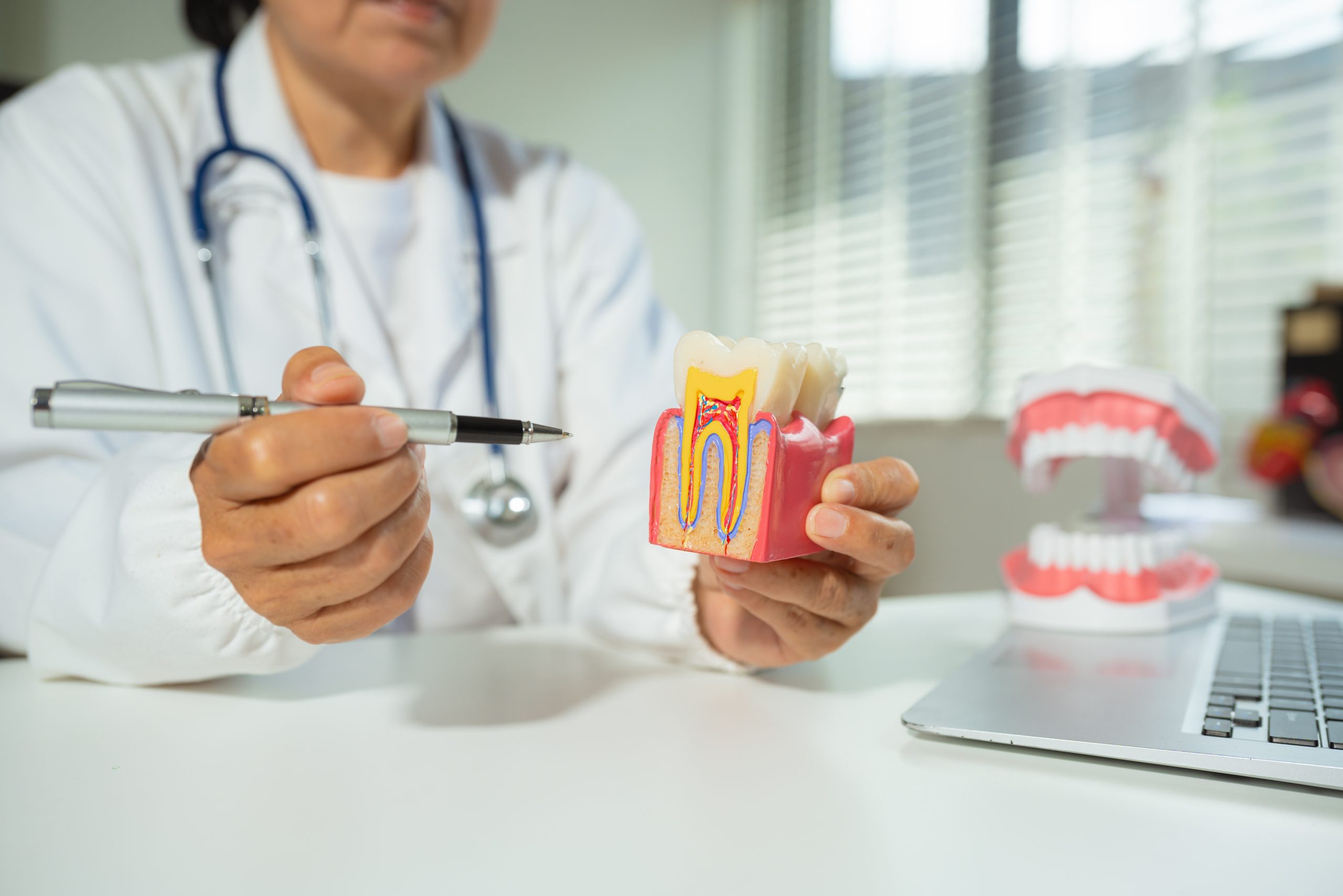 odontologia