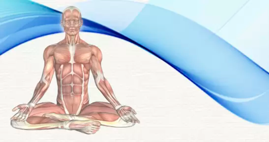 Yoga e outras práticas orientais – Anatomia Aplicada
