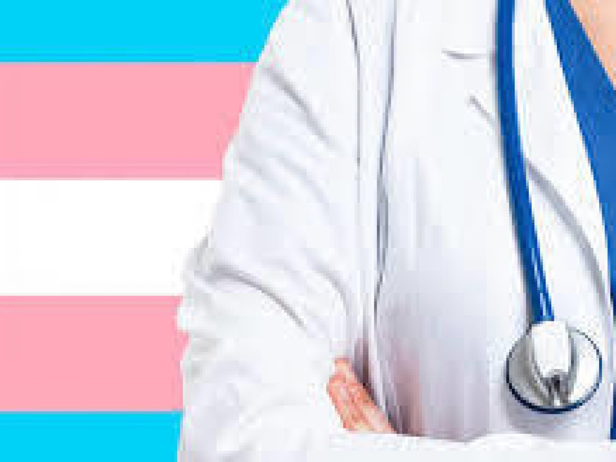 Quiz educativo promove informações acerca da saúde da população trans -  NORDESTeuSOU